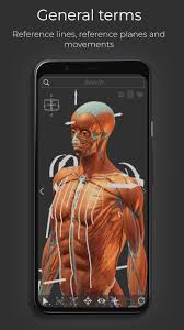 x-anatoy project |  Gilles Momeni